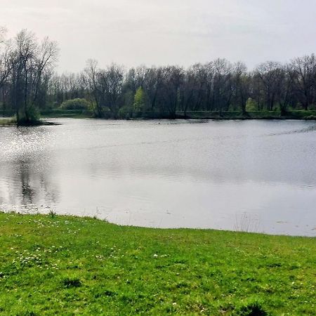 Studio Sur Les Rives D'Allier มูแล็ง ภายนอก รูปภาพ